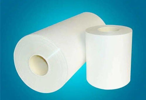 派尔膜谷 打造亚太地区离型与高性能膜材料知名品牌