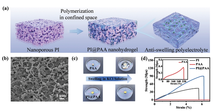 青岛大学隋坤艳教授团队在Advanced Functional Materials发表新型膜材料销售领域突破性成果